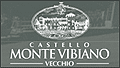 CASTELLO DI MONTEVIBIANO VECCHIO - MARSCIANO (PG)